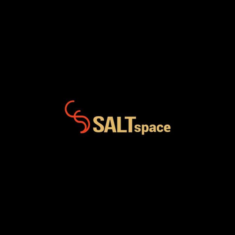 SALTspace 768x768
