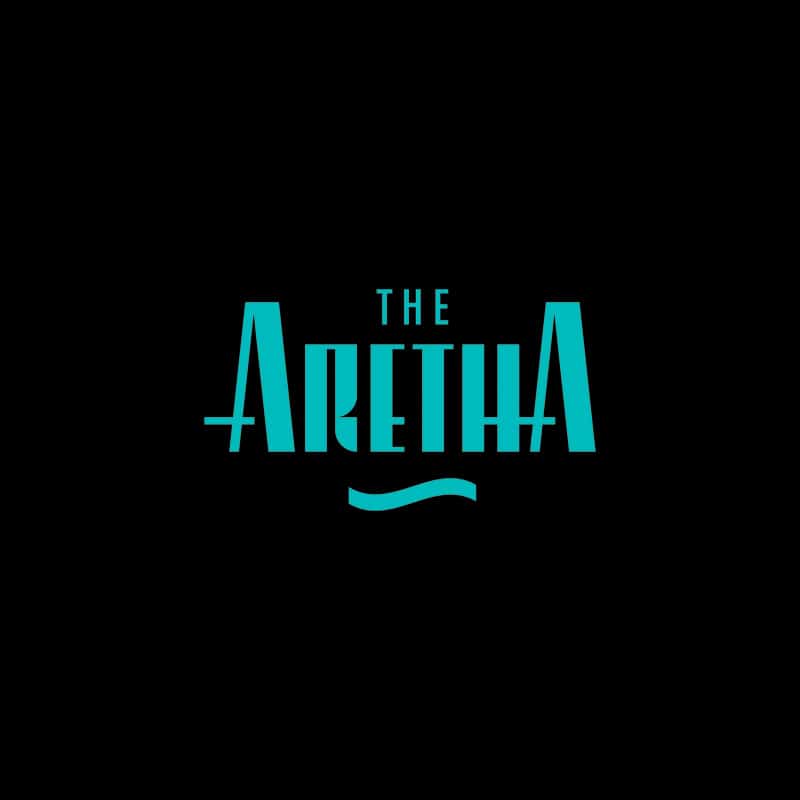 Aretha Franklin Amphitheatre Detroit