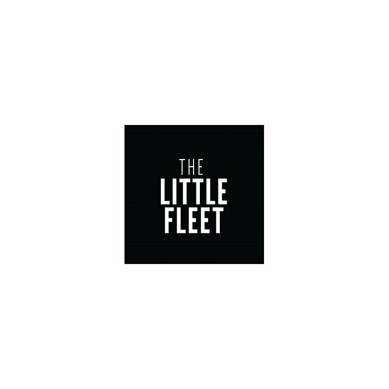 The Little Fleet Traverse City