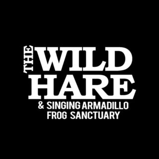 The Wild Hare Chicago