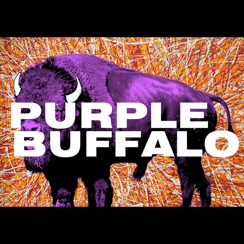 Purple Buffalo North Charleston